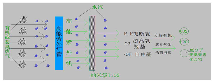 有机废气怎么处理才能达标？